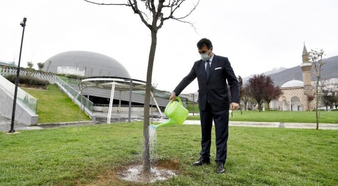 Osmangazi erguvan çiçekleri ile renklenecek
