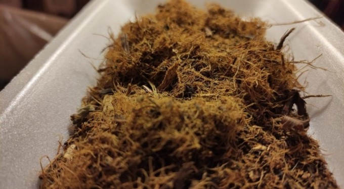 Ramazanın gözdesi, ne susuzluk ne açlık..!