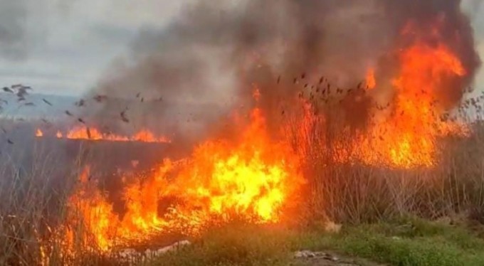 15 dönüm alan kül oldu