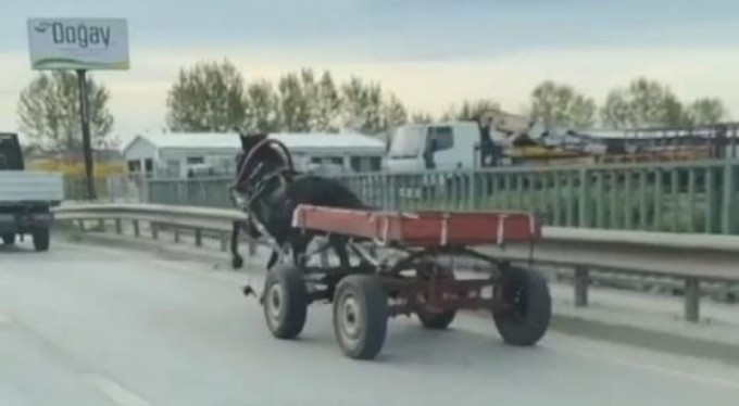 Sürücüsüz at arabası trafiği birbirine kattı