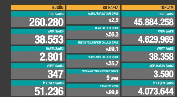 Türkiye'deki son durum açıklandı: 347 kişi hayatını kaybetti.