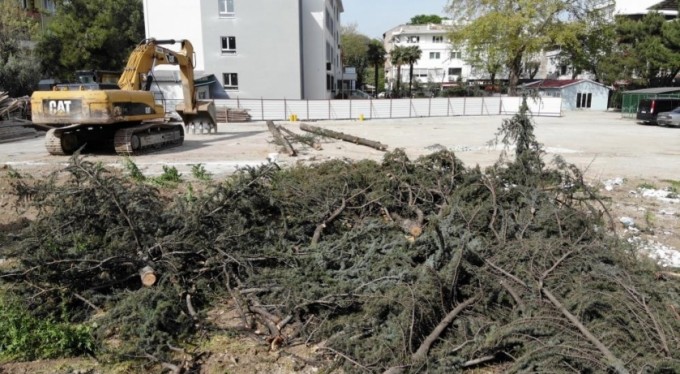 Okul bahçesindeki ağaç katliamını veliler engelledi