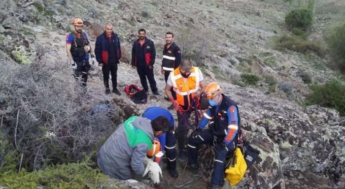 Uçurumda mahsur kalan çoban ve koyunu için seferber oldular