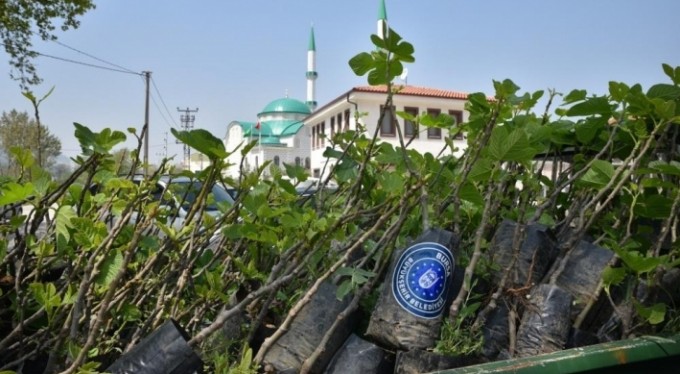 Büyükşehir'den kapanma öncesi çiftçiye fidan morali