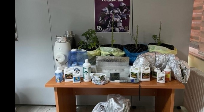Saksıda çiçek değil, uyuşturucu yetiştirmiş