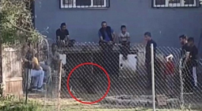 Millet hastalıktan kırılıyor, onlar horoz dövüştürüyor