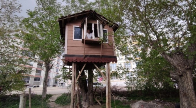 Virüsten korunmak için 'ağaç kondu' yaptılar