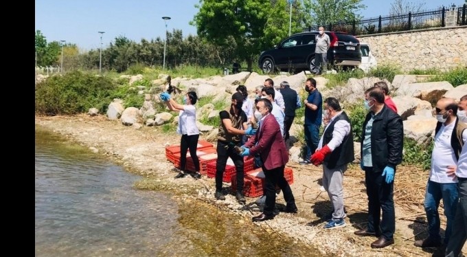 Tedavileri tamamlanan hayvanlar doğaya salındı