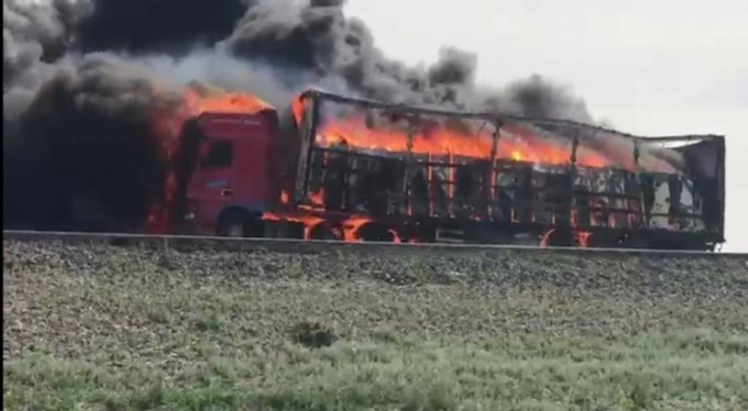 Beyaz eşya yüklü TIR alev alev yandı