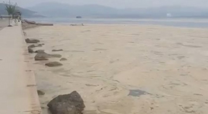 Bursa sahilleri neden renk değiştirdi?