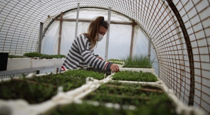 Nilüfer'de 16 bin 500 paket tohum kapışıldı