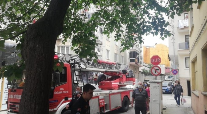 &nbsp;Ağaçta kalan kediyi itfaiye kurtardı