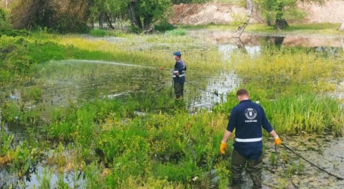Havalar ısındı, sinekle mücadele hızlandı