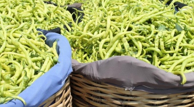 Tarlada 2, tezgahta 10 TL. Bunu birisi izah etsin