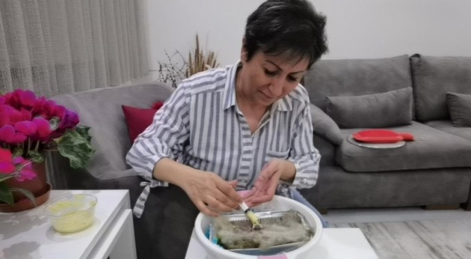 Annesi ölen kırlangıç yavrularına bebek gibi bakıyor