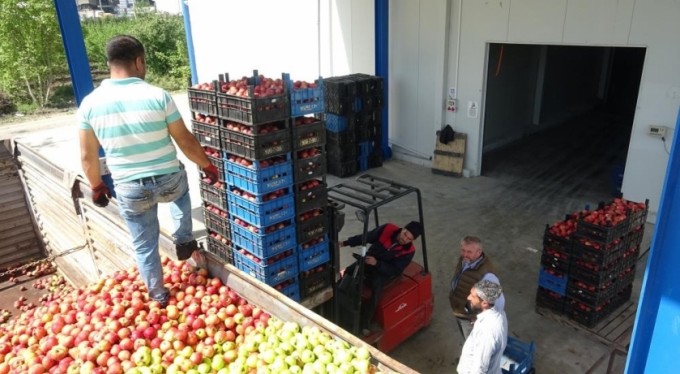 Bursa'da tonlarca meyve depolarda kaldı