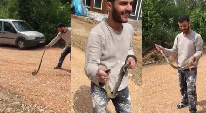 Yolda bulduğu yılanla böyle oynadı