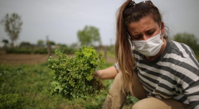 Nilüfer Belediyesi'nden önemli tarım hamlesi