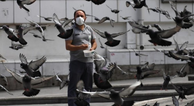 Osmangazi'de aç kalan güvercinler beslendi
