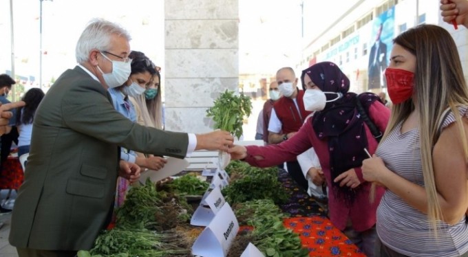 Nilüfer'de balkonlar mini bostana dönüşecek