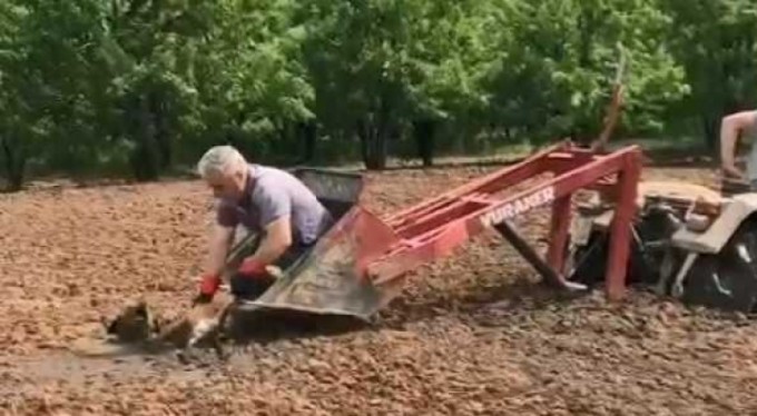 Bataklıkta yaşam savaşı verdi, böyle kurtarıldı