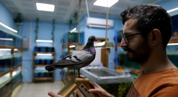 Sevdiği kuş ölünce bakın hasretini nasıl gideriyor?