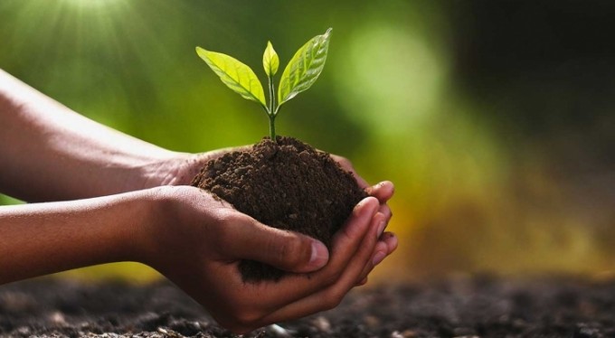 Haydi gençler; sizin de dikili bir ağacınız olsun