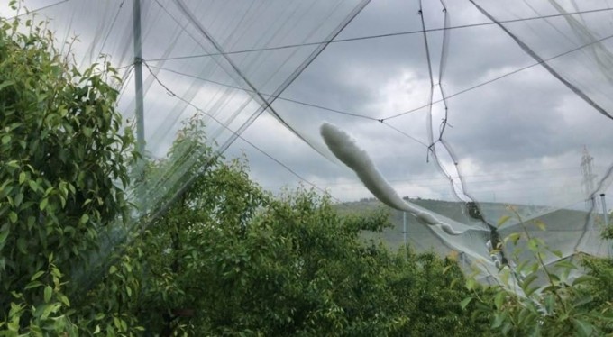 Balıkçı ağı, Bursalı çiftçiyi doludan korudu