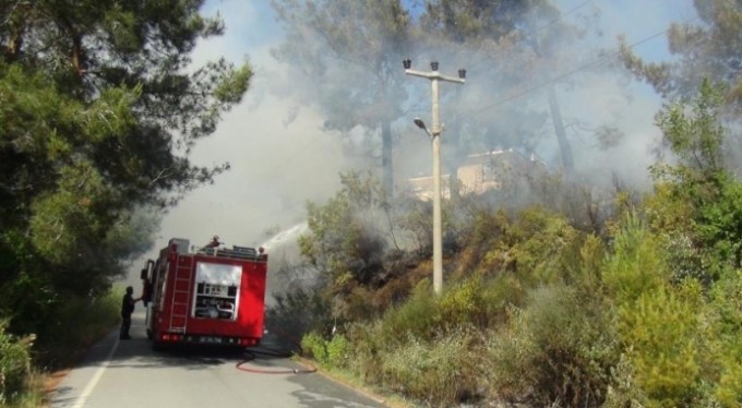 Çocukların torpille oyunu ormanı yaktı