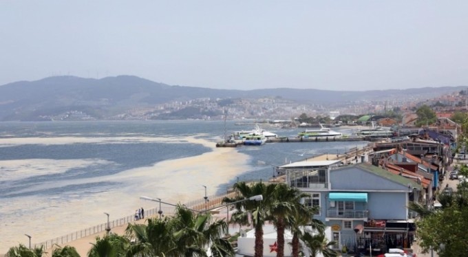 Mudanya'da kıyıları deniz salyasından temizleniyor