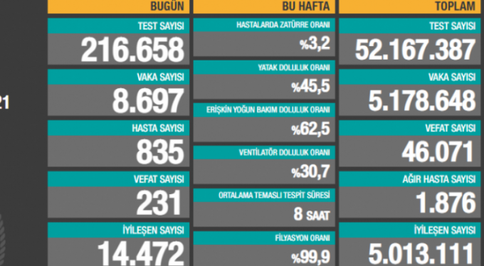 231 can kaybı var, vaka sayısı düşüyor