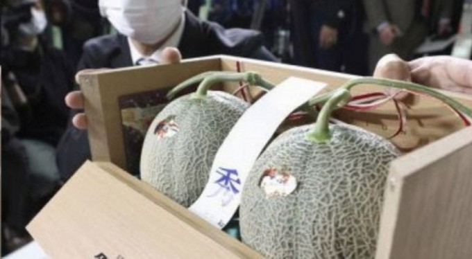 Japonya'daki kavun açık artırmasında dudak uçuklatan teklif