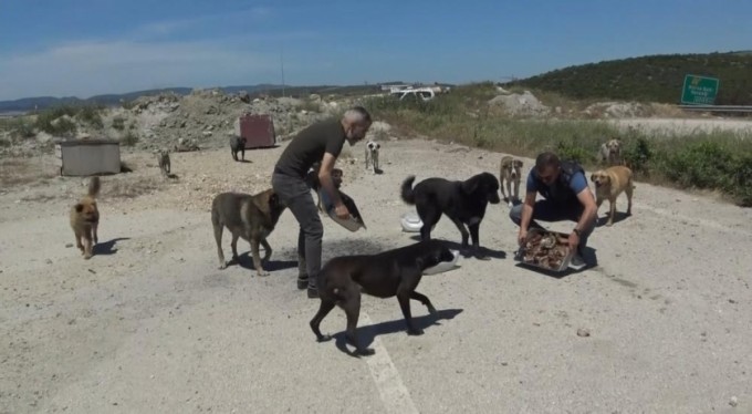 Bursalı esnaftan sokak hayvanlarına özel ciğer kebap