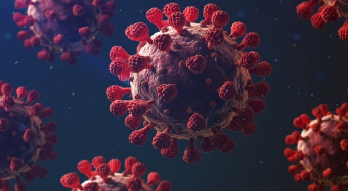 İngiltere'deki araştırmadan çarpıcı sonuç: Köpekler virüsü teşhis edebilir