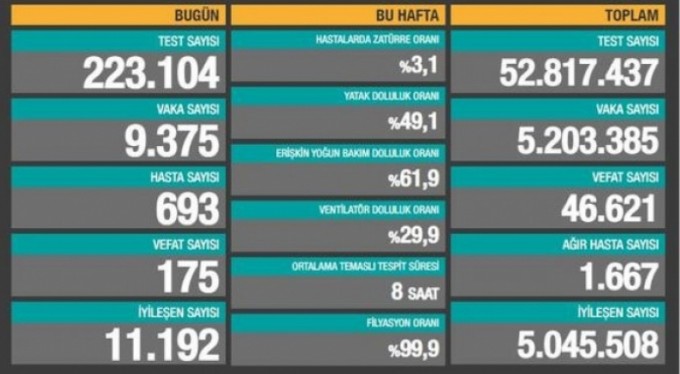 Son 24 saatte 175 can kaybı