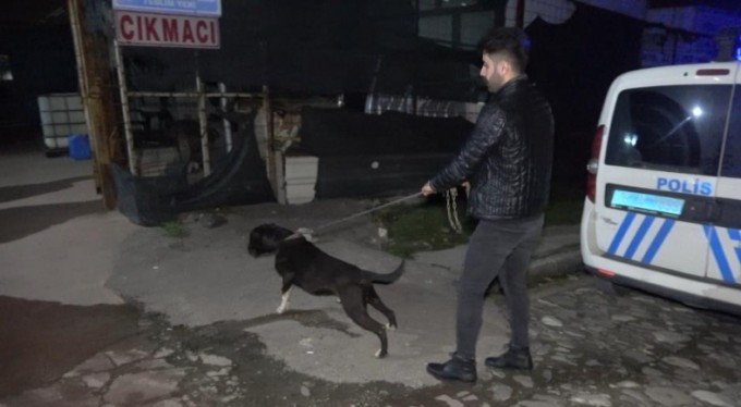 Bursa'da, Karlos'un yakaladığı o şüpheli serbest