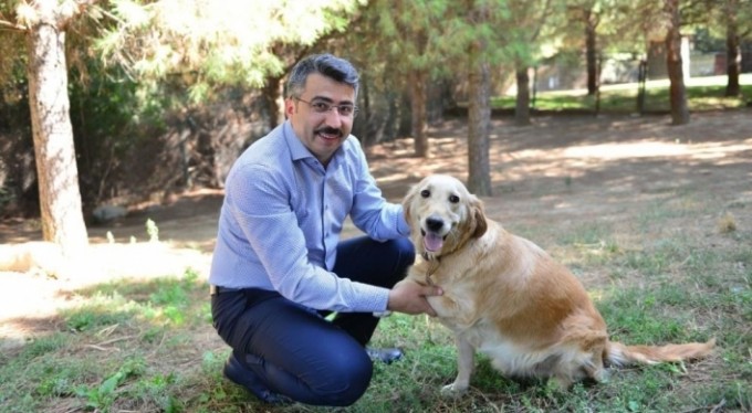 Yıldırım'da can dostları emin ellerde