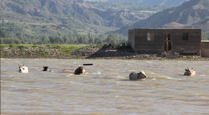 Alarm veren barajda Afrika'yı aratmayan görüntüler