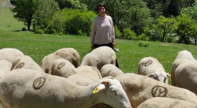 Çobanlık yaparak Avrupa Şampiyonası'na hazırlanıyor