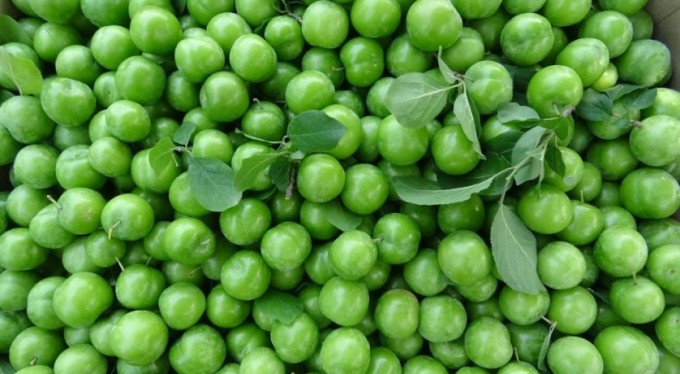 "Borcum varsa IBAN gönder"