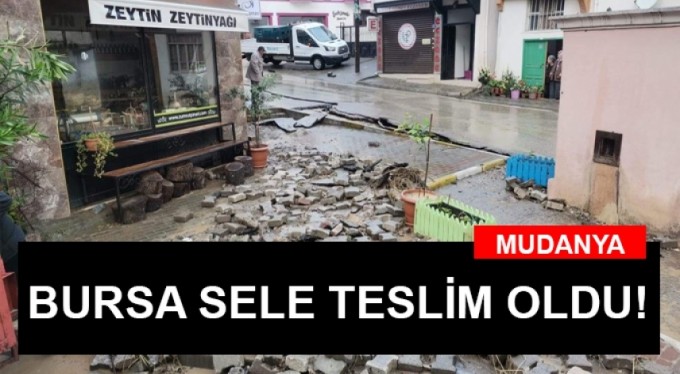 Bursa'nın Gemlik ve Mudanya ilçesi sele teslim