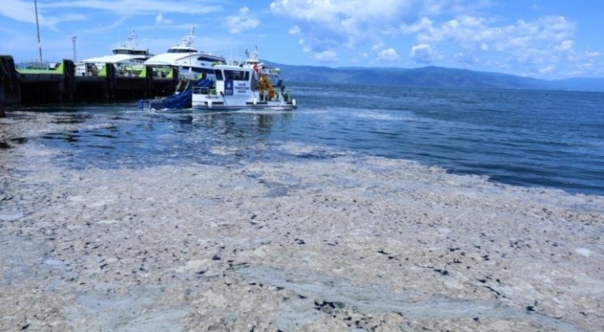 Çevre felaketi ekonomi için fırsat olabilir