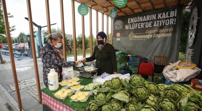 Hasanağa enginarına ulaşmak artık çok kolay