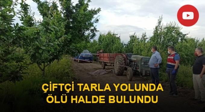 Çiftçi tarla yolunda ölü halde bulundu