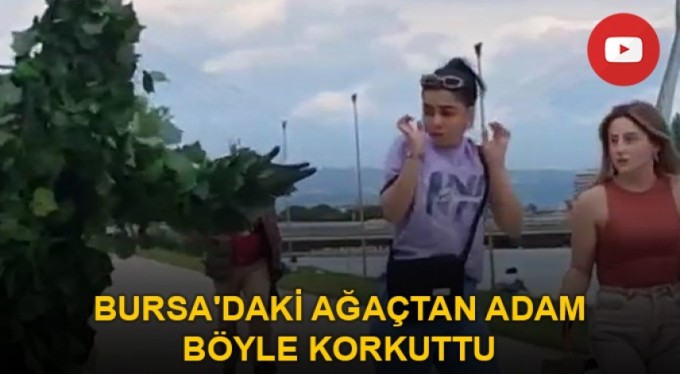 Bursa'daki ağaçtan adam böyle korkuttu