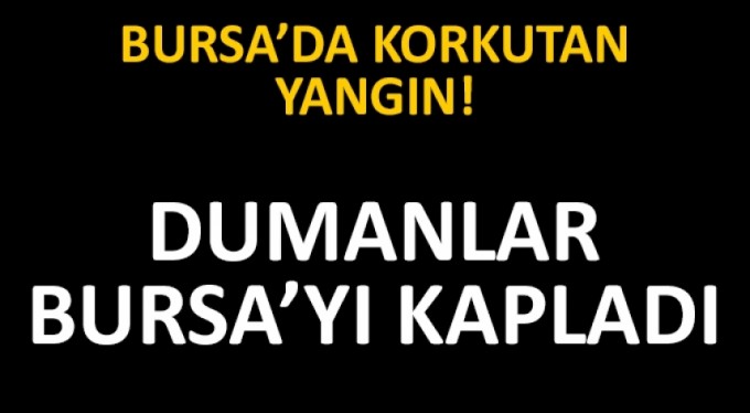 Geri dönüşüm fabrikasında korkutan yangın