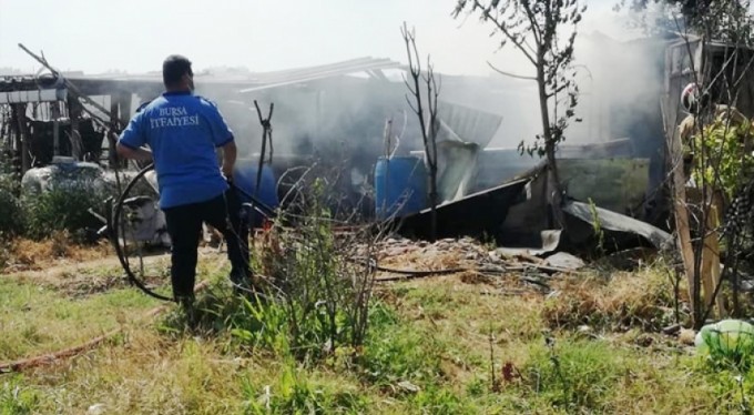 Yangın hayvanları telef etti