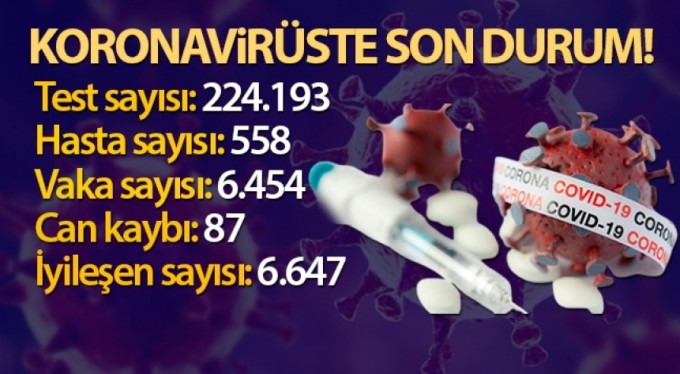 Türkiye'de son 24 saatte 6.454 koronavirüs vakası tespit edildi