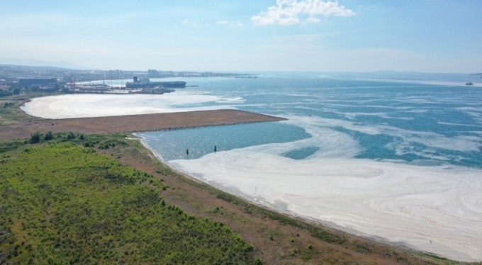 Yalova kıyılarında müsilaj görülmeye devam ediyor