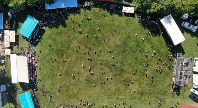 Geleneksel Çalı Yağlı Güreşlerine yoğun ilgi